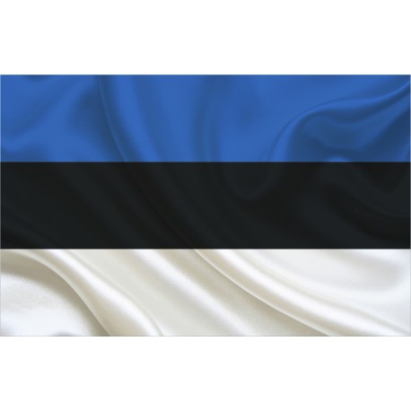 Estonian flag